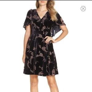 Eliza J Velvet Cape Sleeve Dress